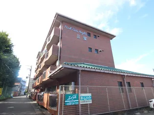 パークサイドハイツ三宝の画像