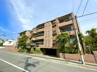 ヴィリーノチャチャの画像