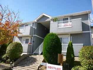 レモナ光台の画像