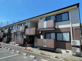 トミユウ ボラタの画像