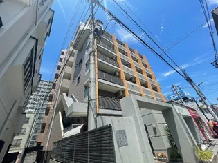 秋桜 コスモスの画像