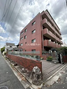 LA RIVIERE OKAMOTOの画像