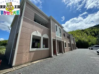 サウスレディの画像