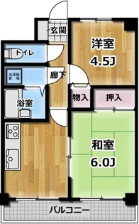 TYコート栄町通【6階】の間取り