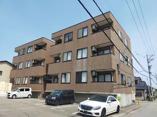 パルティールM&Mの画像