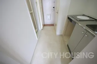 ロフトハウス城南【2階】の内装