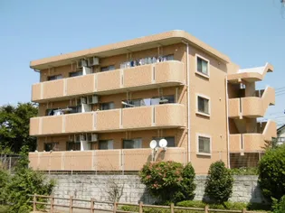 神奈川県相模原市中央区田名塩田2【マンション】の外観