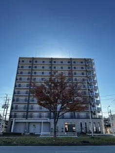 Alivis堺浜寺【7階】の外観