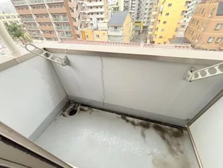 グランパシフィック十三【1階】の内装