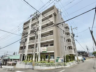 ヒルズシンメイの画像