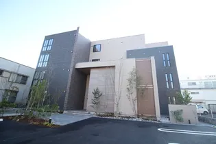 アムール アドニスの画像