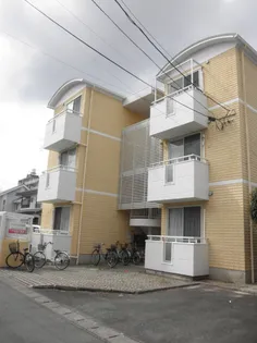 パールマンション月出の画像