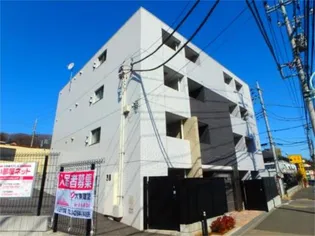 グレイスメロウの画像