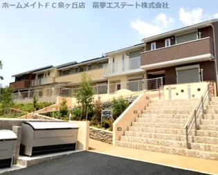 オースター アベリアの画像