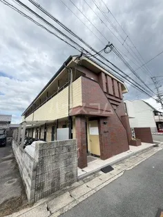 ドムール桂の画像
