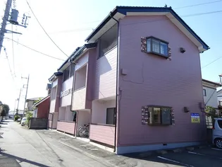 チャイニーズヨウラクAの画像