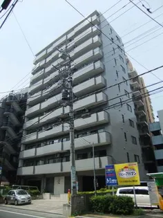 スカイビュウ11の画像