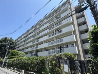 南青ハイツ【7階】の外観