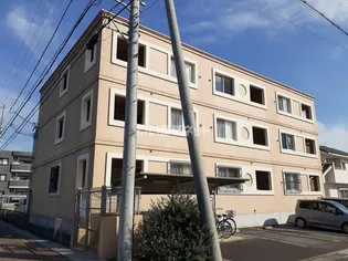 カモミーユの画像