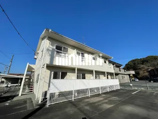 シュロスAの画像