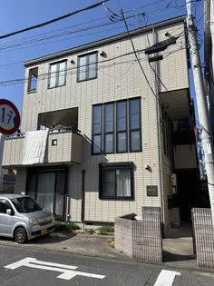 フラットコートの画像