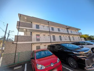 MT HIRATSUKAの画像