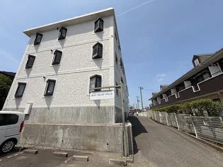 BAY LEAF HILLSの画像