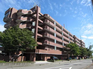 ピュアライフ観音堂の画像