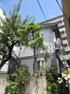 雅ハイツ【1階】の外観