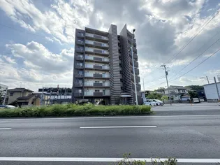 プレミアム ラグ勢家の画像