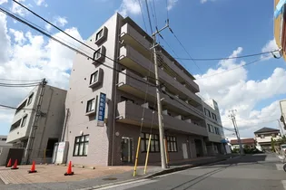 グレース浜野の画像