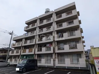 STELLA GARDEN水戸白梅の画像