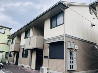 マドレ ミホの画像