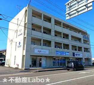 徳島県板野郡北島町鯛浜字西ノ須【アパート】の外観