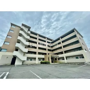 グリーンフォレストの画像