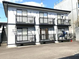 コスモス18の画像