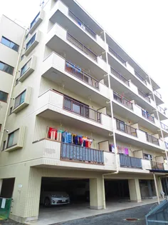 ドエルアクシオンの画像