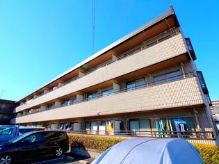 タイワード朝志の画像