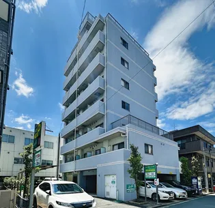 カモミールの画像