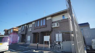 セリシールの画像