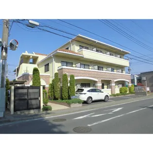 ヴィーゼの画像