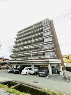 免疫ビルEXCIAIIの画像