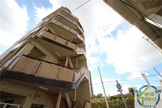 サニーグリーンの画像