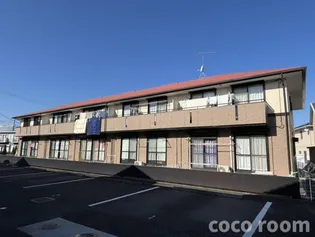 ハイカムールSHIMIZUの画像