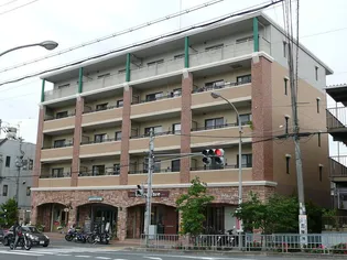 サザンクロスの画像