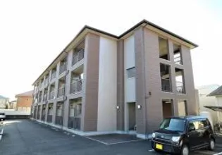 パールコートの画像