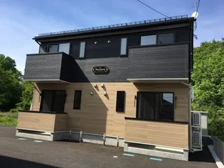 モンステラの画像