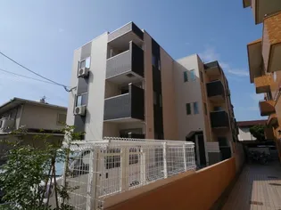 博多小町Ⅱの画像