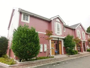 アンジェリークの画像