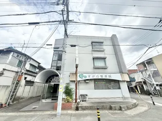 コート黄檗の画像